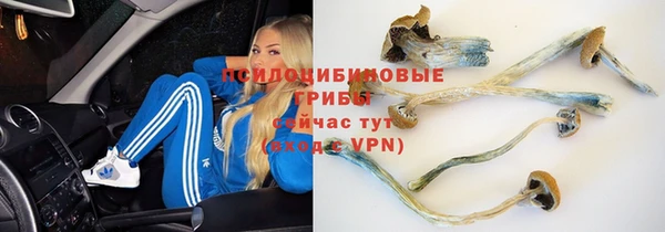 ГАЛЛЮЦИНОГЕННЫЕ ГРИБЫ Алзамай