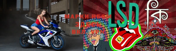 ГАЛЛЮЦИНОГЕННЫЕ ГРИБЫ Алзамай