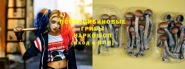 ГАЛЛЮЦИНОГЕННЫЕ ГРИБЫ Алзамай