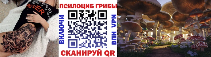 нарко площадка клад hydra ссылка Томмот Галлюциногенные грибы ЛСД